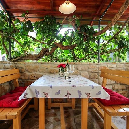 Carla Guest House Новиград Екстериор снимка