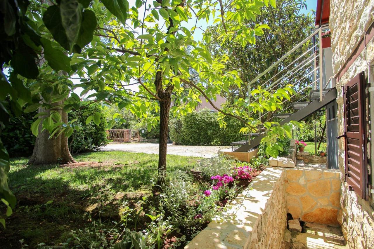 Carla Guest House Новиград Екстериор снимка